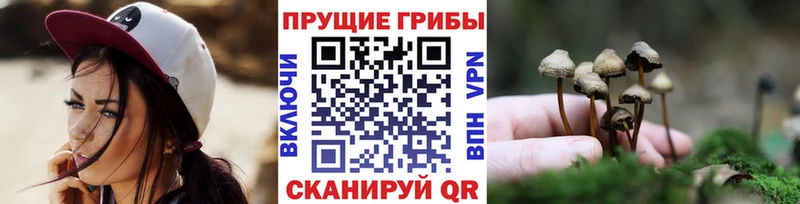 Галлюциногенные грибы Psilocybine cubensis  дарнет шоп  Северо-Курильск 